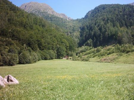 mini IMG 0430